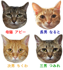 猫のいたずら防止策 猫と暮らしていいですか