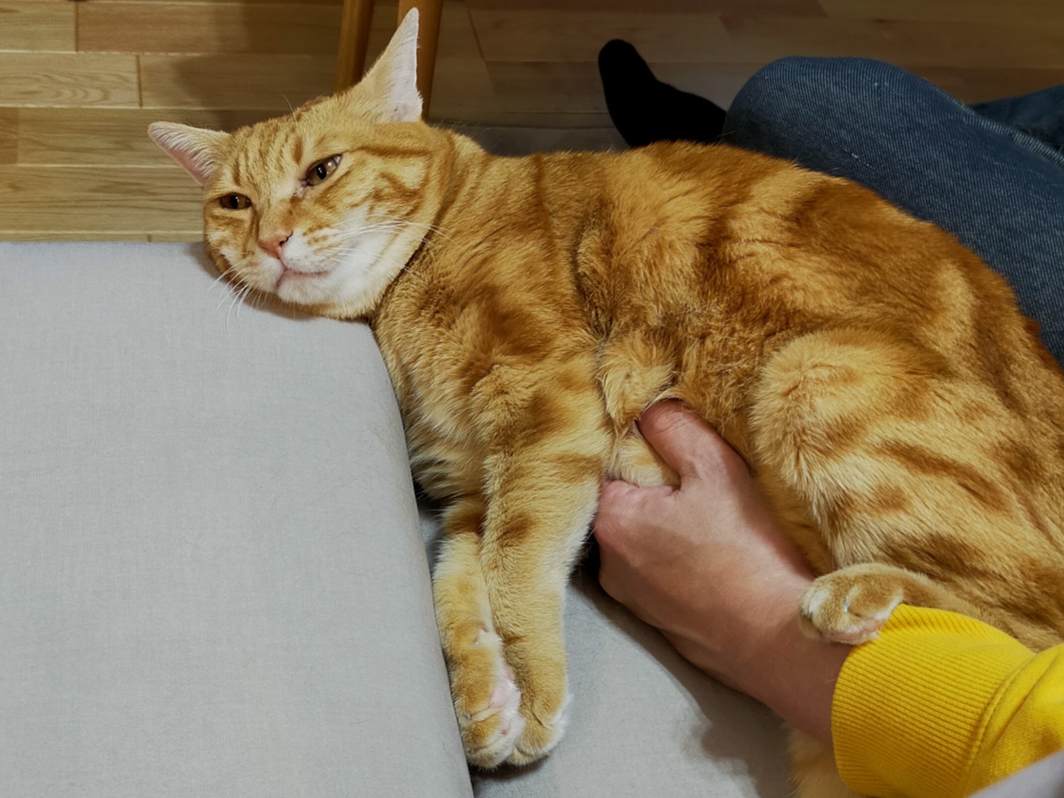 お腹の中で何が起こってる…？